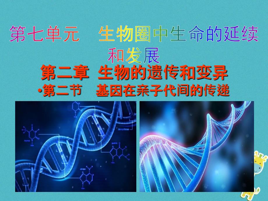 基因在亲子代间的传递教学ppt课件_第1页