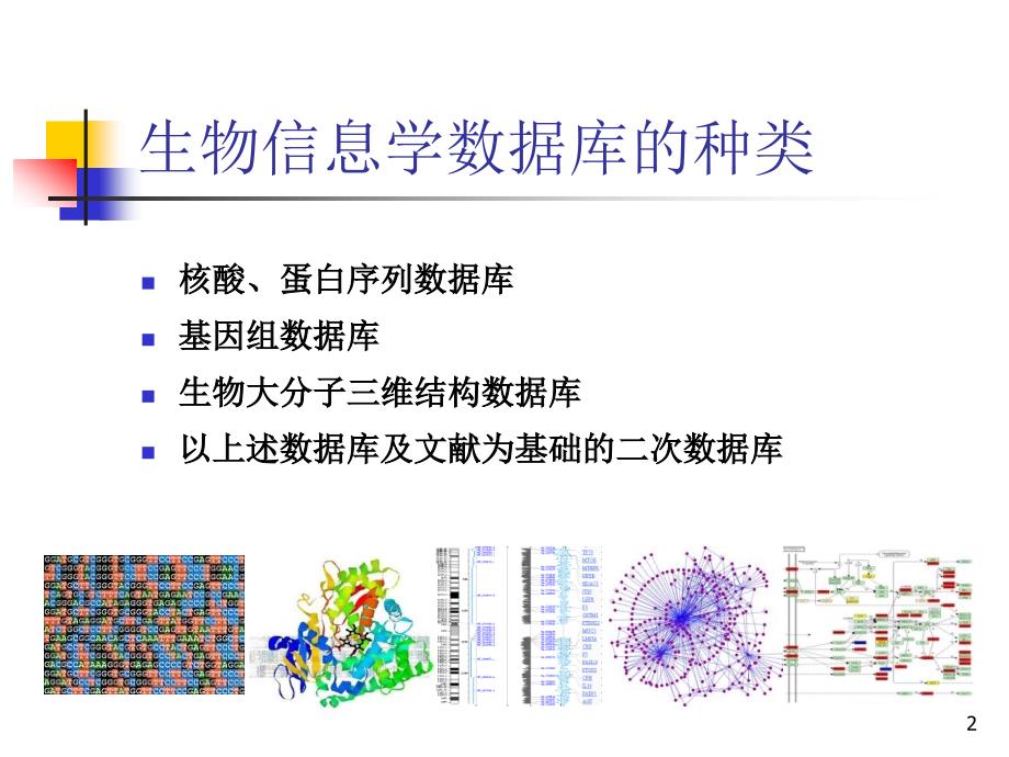 蛋白质蛋白质相互作用第二章ppt课件_第2页