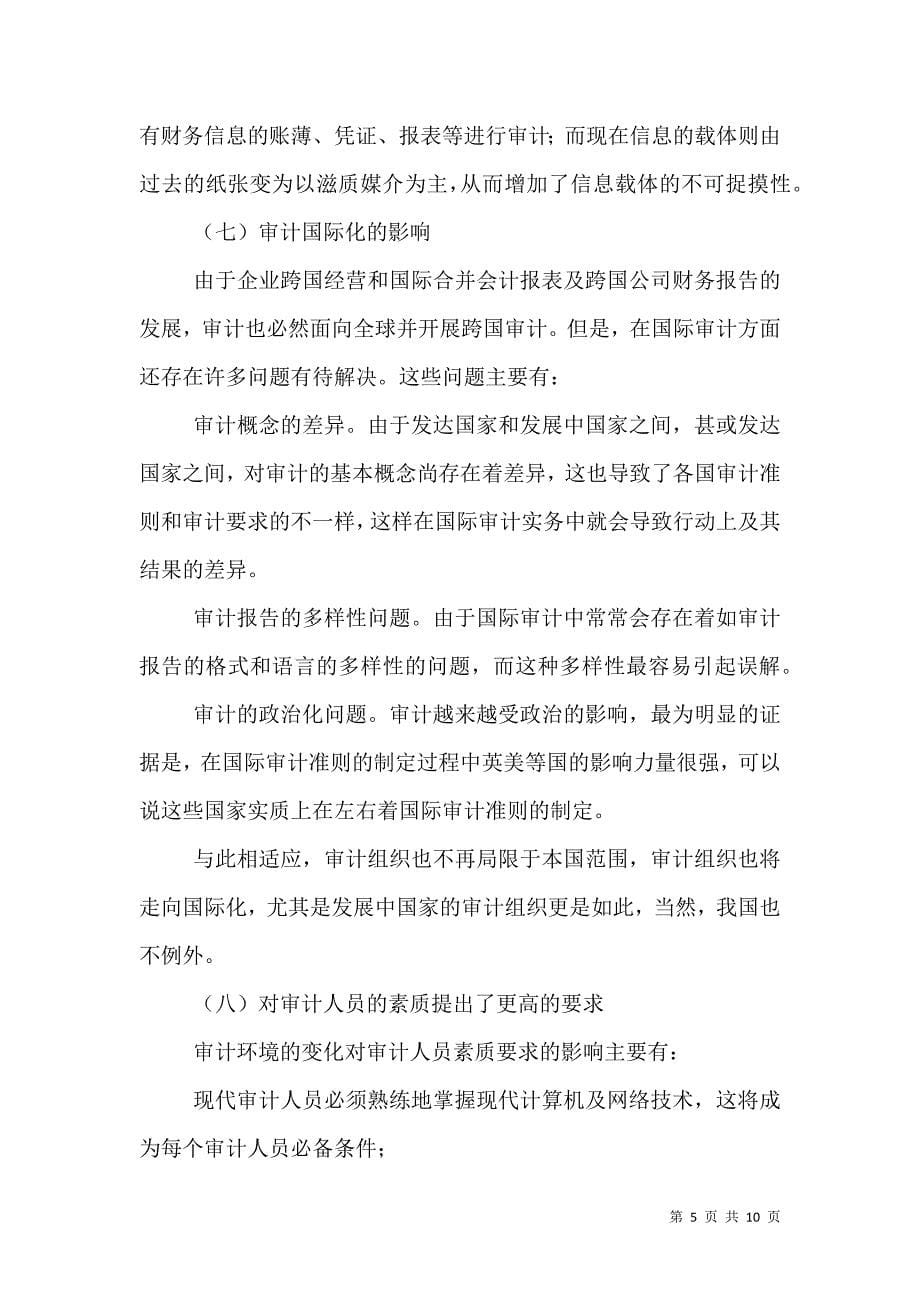 论环境的变化对审计的影响及其对策.doc_第5页