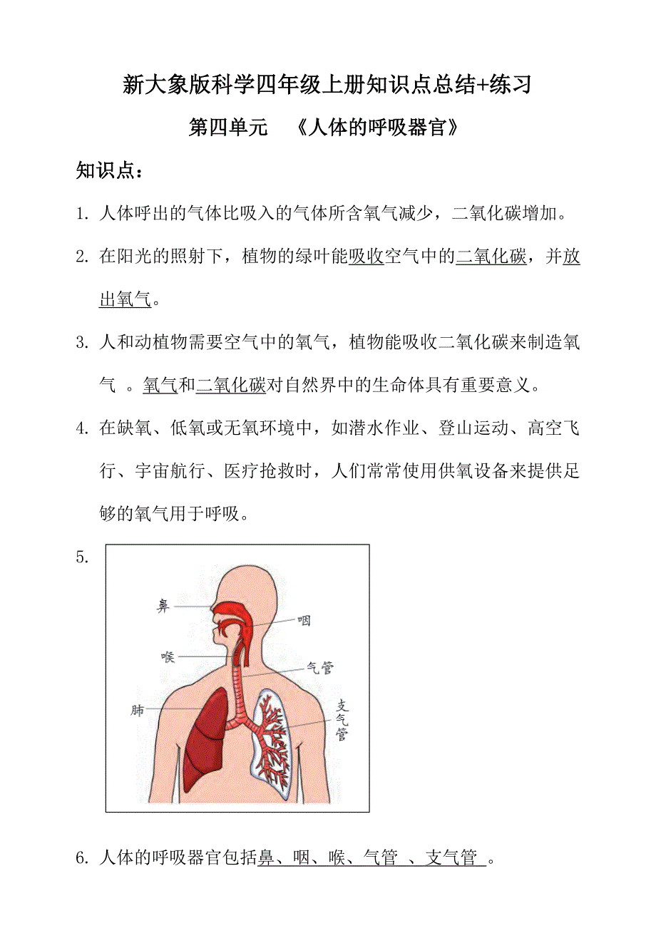 新大象版科学四年级上册第四单元知识点总结+练习_第1页