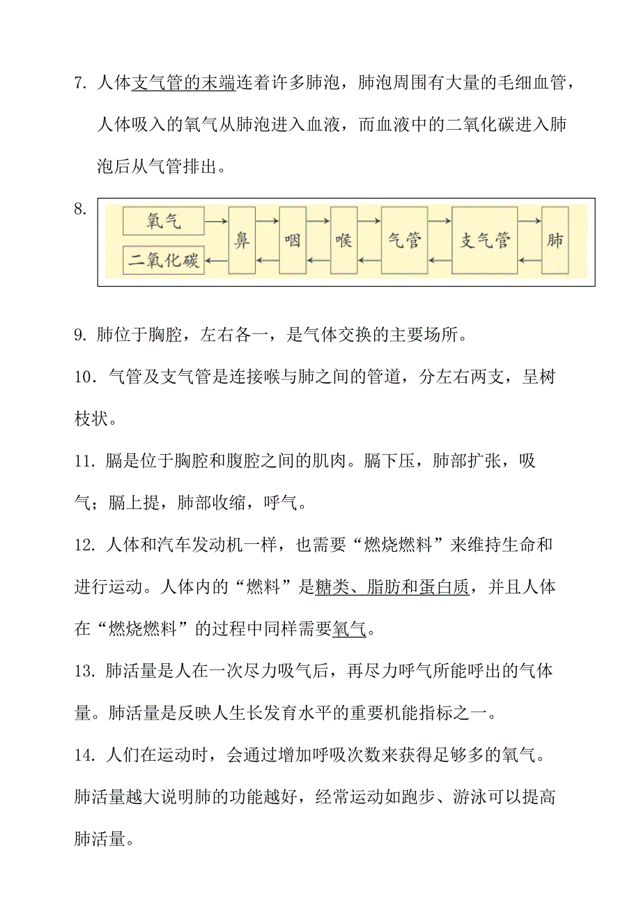 新大象版科学四年级上册第四单元知识点总结+练习_第2页