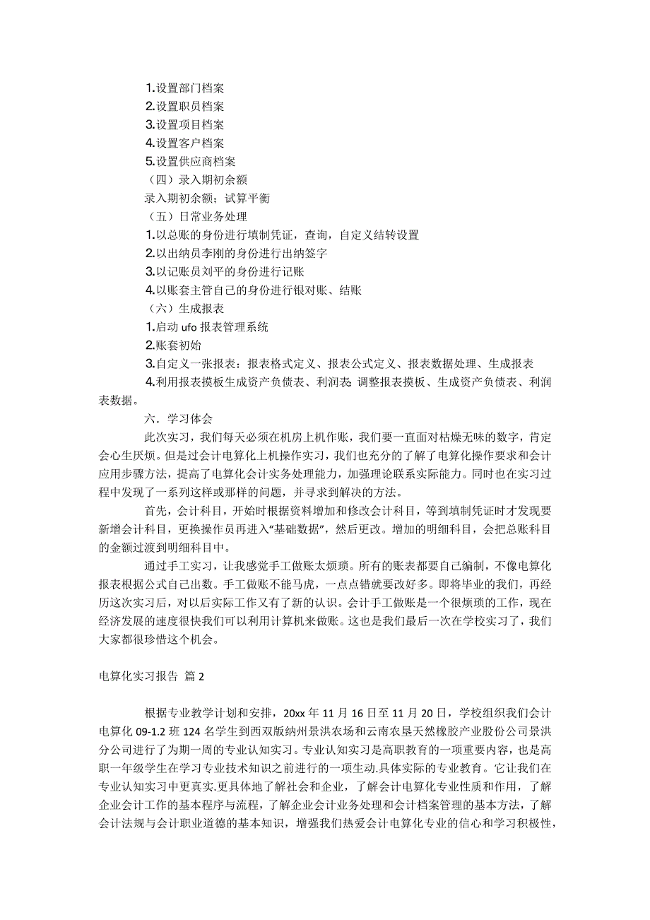 电算化实习报告_第2页