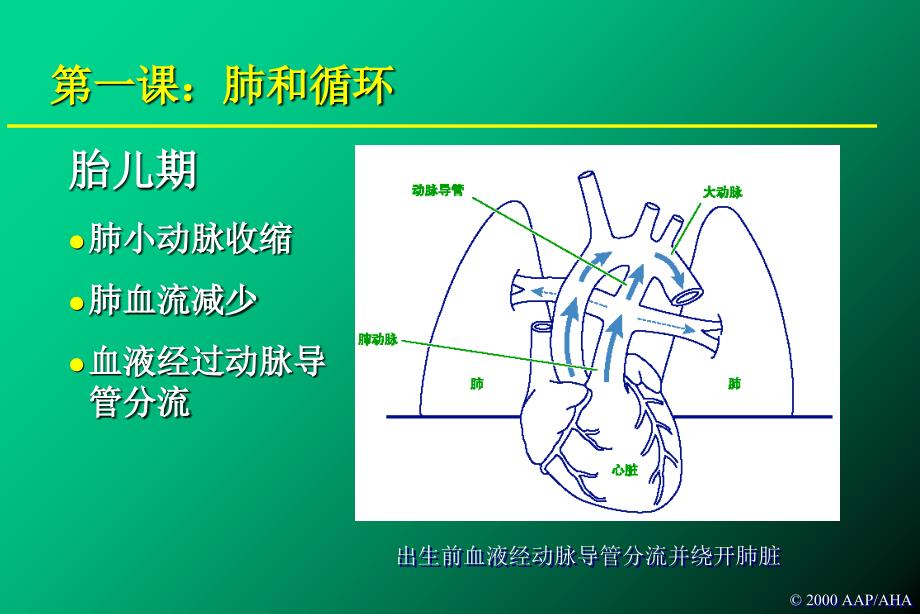 新生儿复苏教程PPT课件_第4页