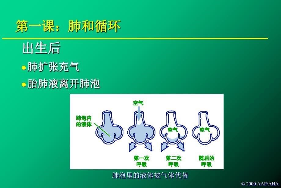 新生儿复苏教程PPT课件_第5页