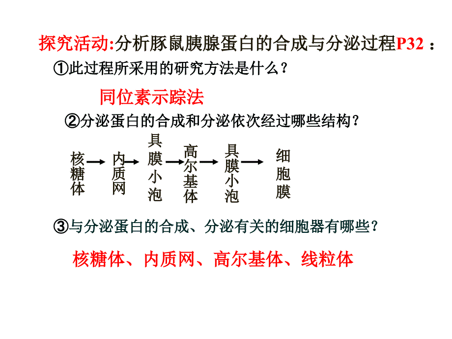 细胞中的蛋白质复习与练习课件_第4页