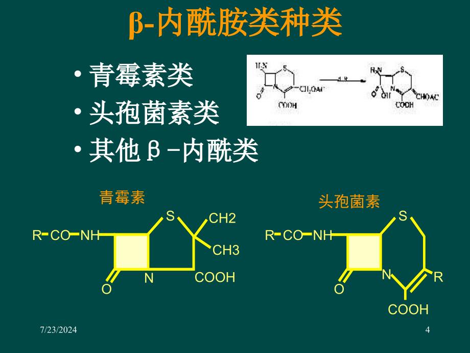 抗菌药物的主要品种及其临床应用__海南省人民医院呼吸内科_黄奕江_第4页