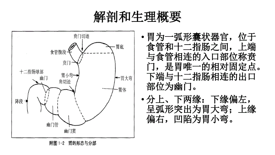 胃十二指肠疾病病人的护理-课件_第3页