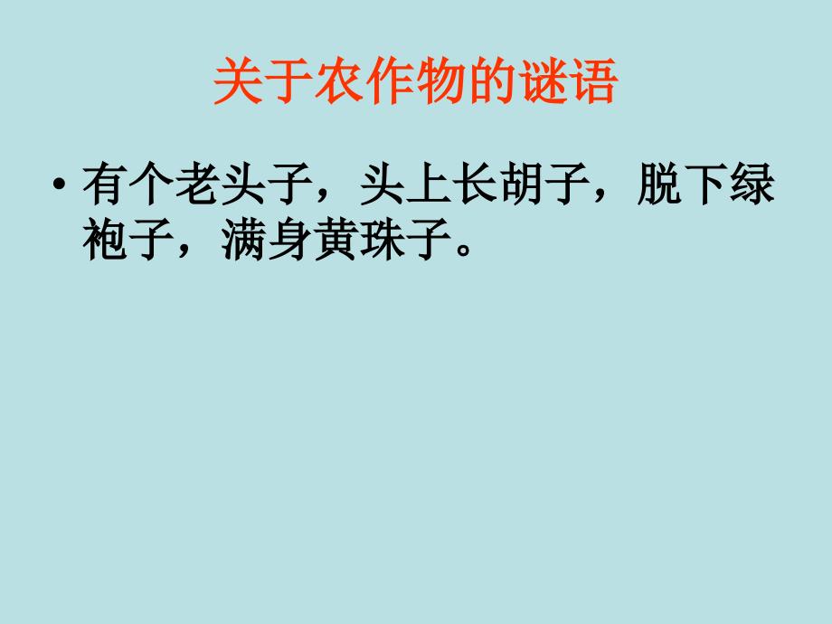 人教版语文四年级第六单元习作_第3页