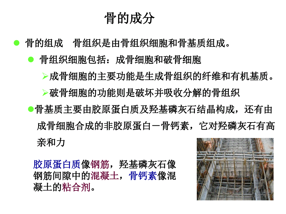 骨代谢紊乱试验诊断课件_第3页