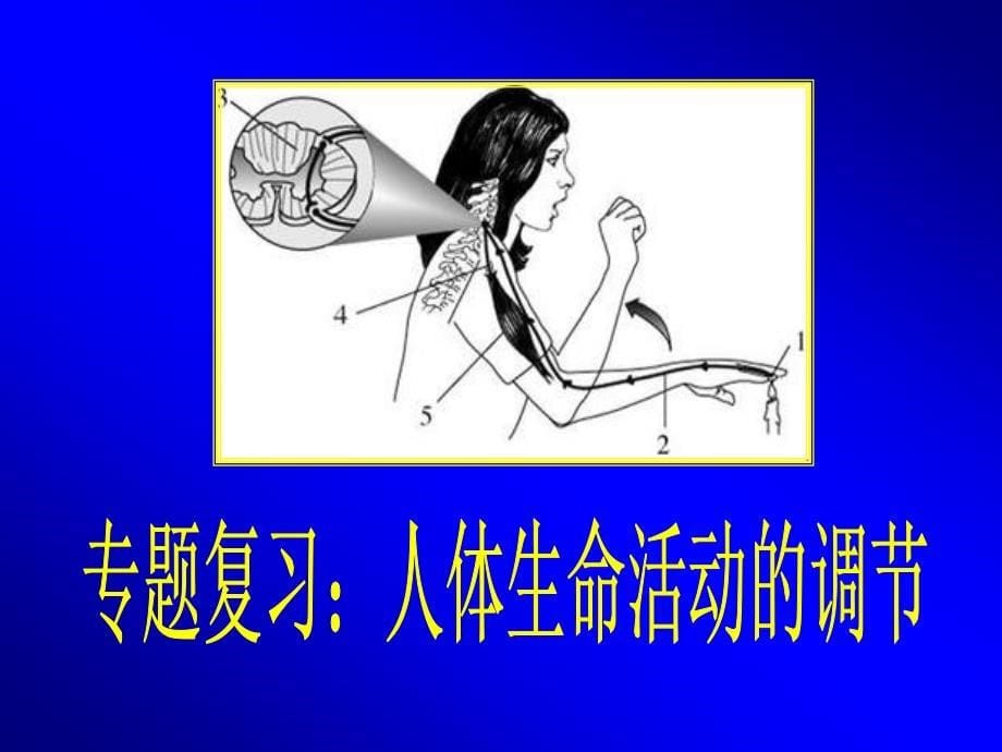 名师堂初中生物_第5页