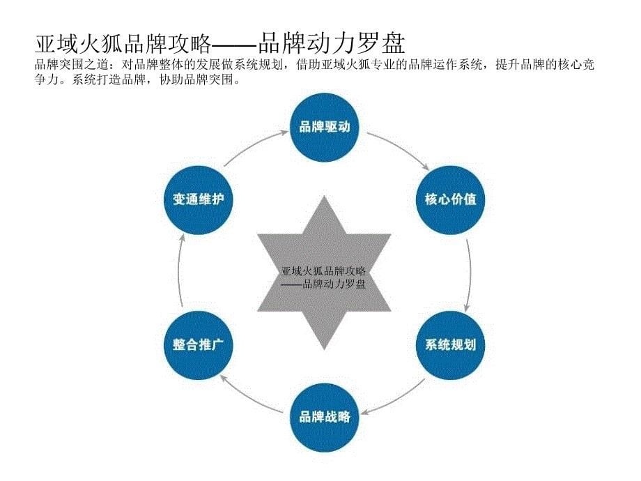 涂料策划品牌推广_第5页