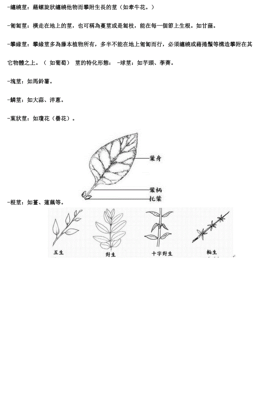 植物的根茎叶花种子_第2页