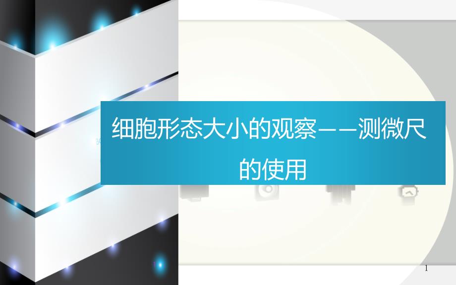 细胞形态大小的观察测微尺的使用_第1页