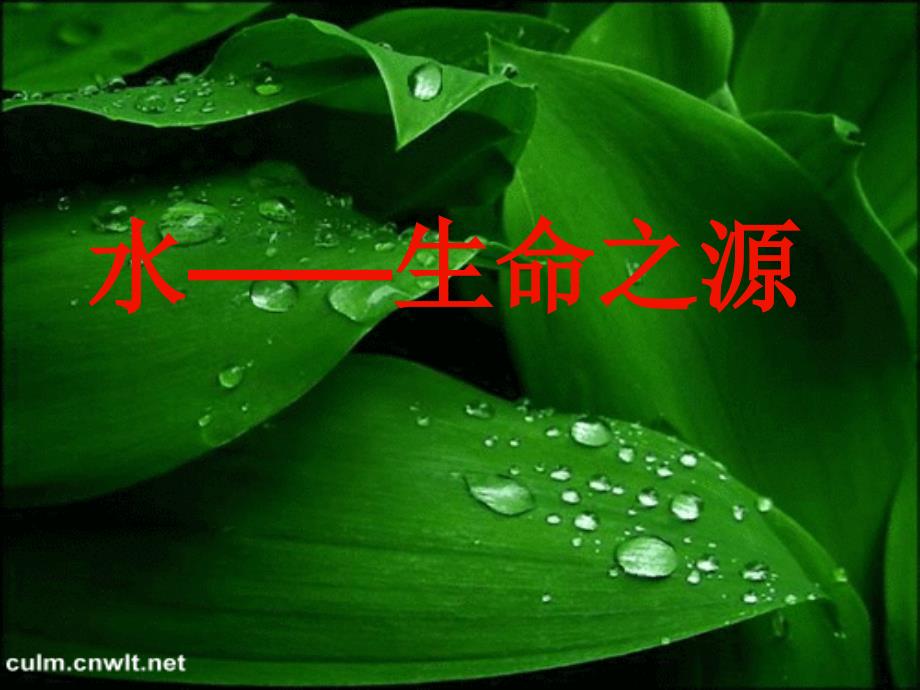 校本课程《水--生命之源》.ppt_第1页