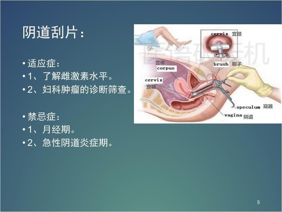 妇科基本检查ppt课件_第5页