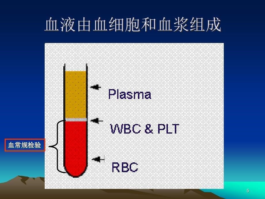 常见病症的用药指导5血常规缺铁性贫血ppt课件_第5页