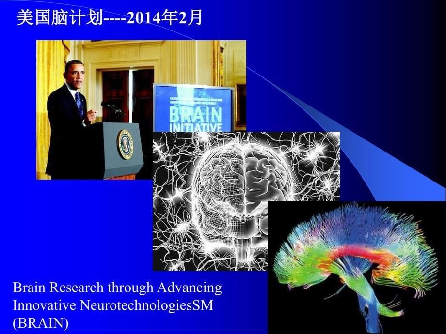 环境生理学：第六章 神经系统1_第5页