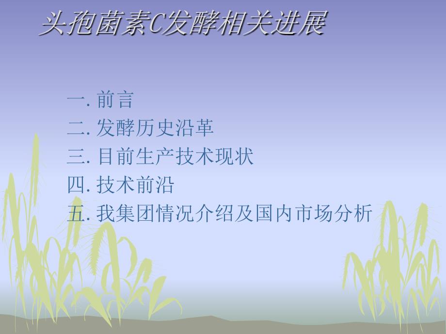 《头C发酵进展》PPT课件_第1页