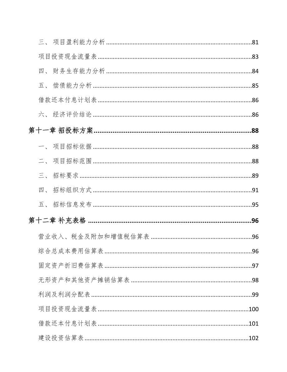 重庆智能水表项目可行性研究报告_第5页