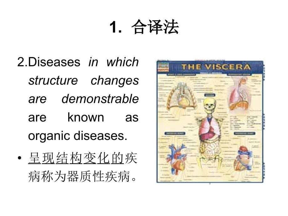 医学英语翻译专题定语从句翻译方法_第5页