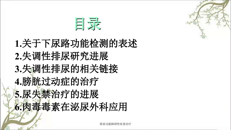 排尿功能障碍性疾患治疗_第3页