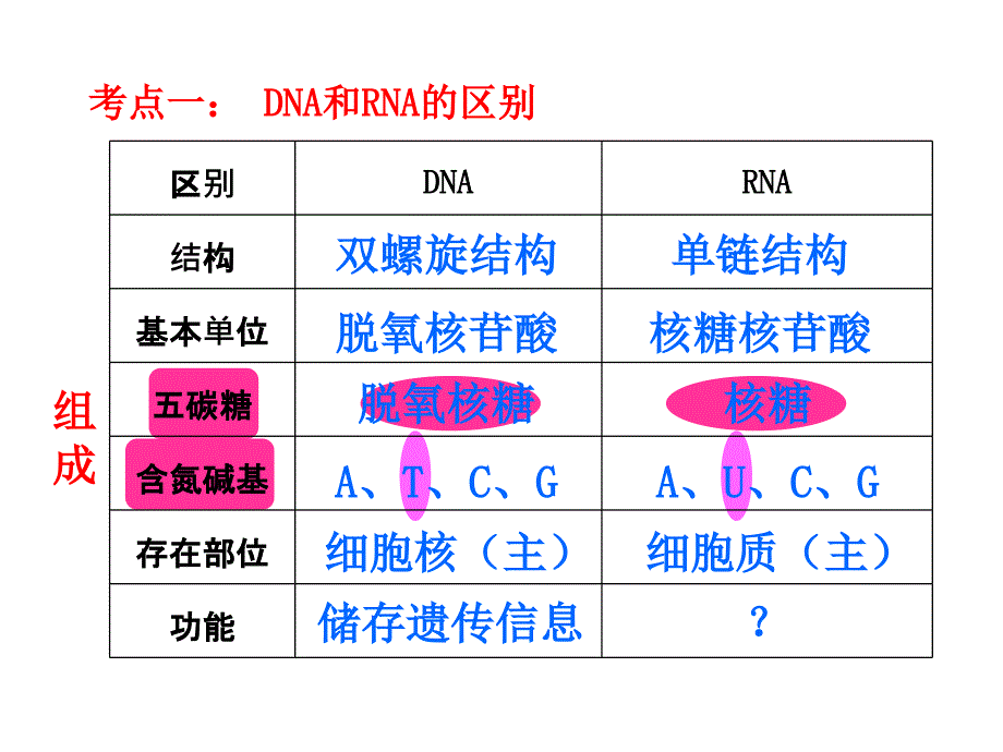 人教版生物必修二第四章基因的表达复习课件共36张PPT_第4页