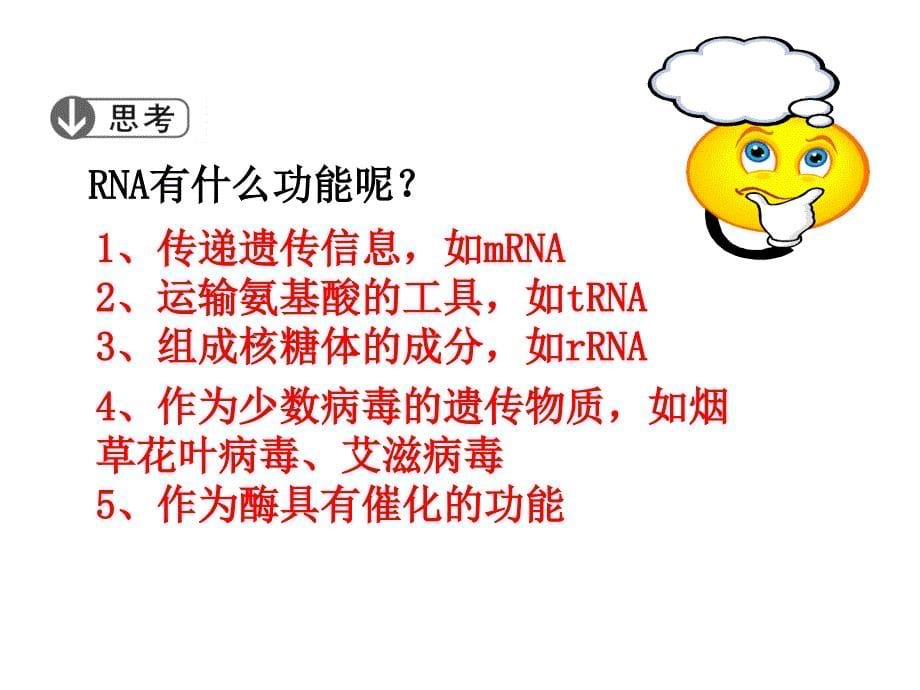 人教版生物必修二第四章基因的表达复习课件共36张PPT_第5页