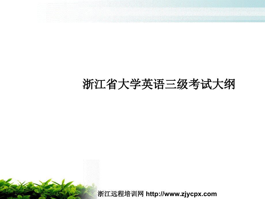 浙江省大学英语三级培训课件_第2页