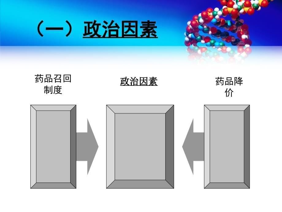 河北恒利药业战略管理研究课件_第5页