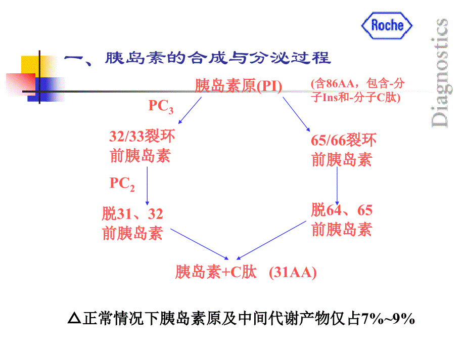 第4讲胰岛细胞功能评估_第2页