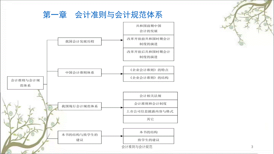 会计准则与会计规范课件_第3页