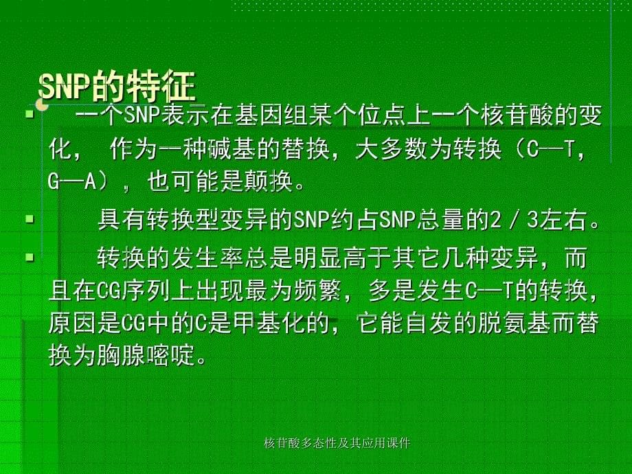 核苷酸多态性及其应用课件_第5页