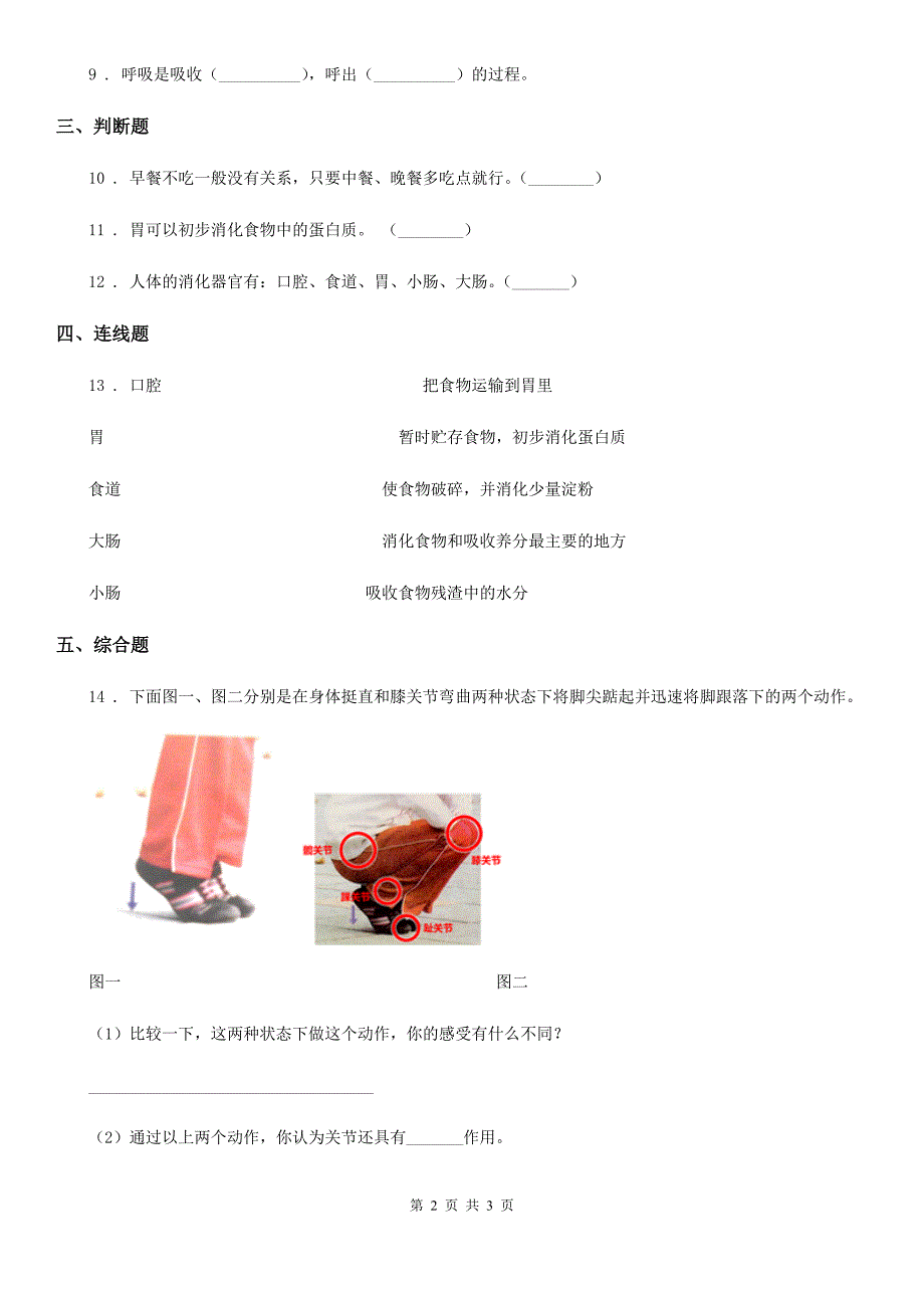 科学四年级上册4.2 骨骼、关节和肌肉练习卷_第2页