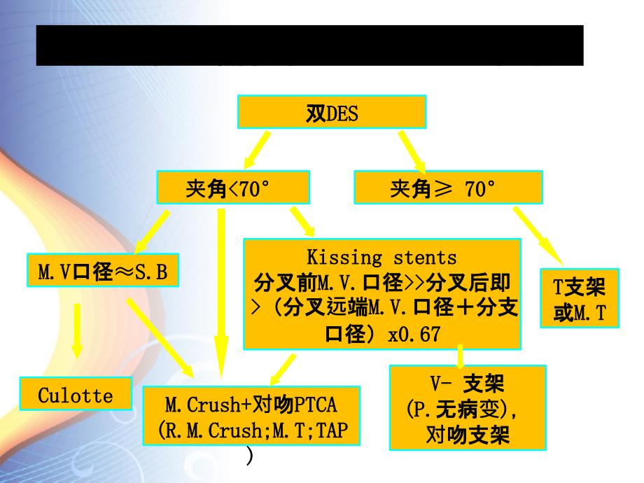 分叉病变的分支的保护策略_第4页