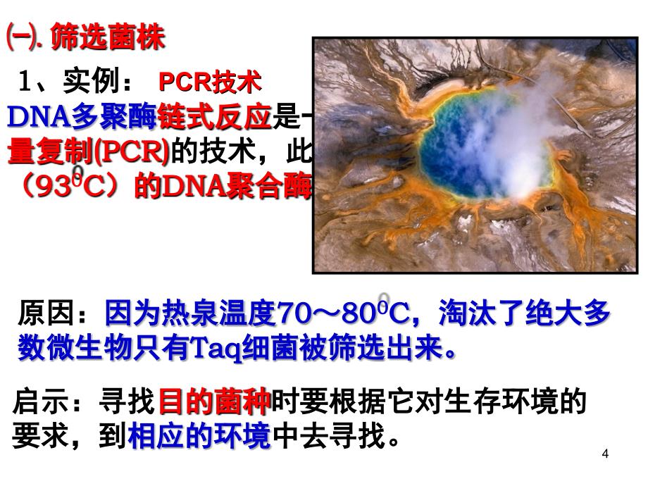 公开课分解尿素的细菌分解纤维素的微生物的分离.ppt_第4页