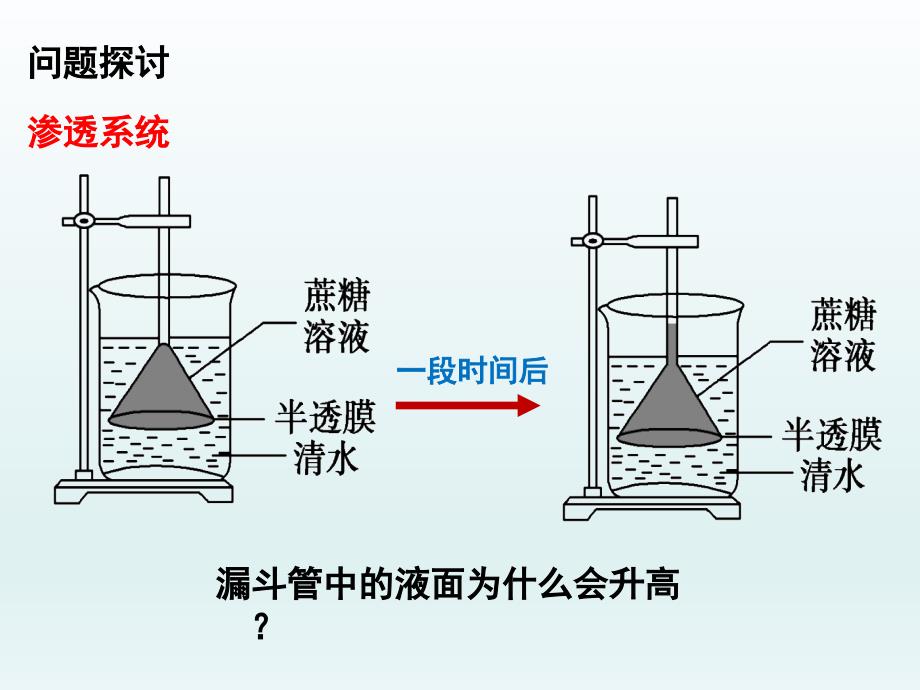 物质跨膜运输的实例58927分享资料_第4页