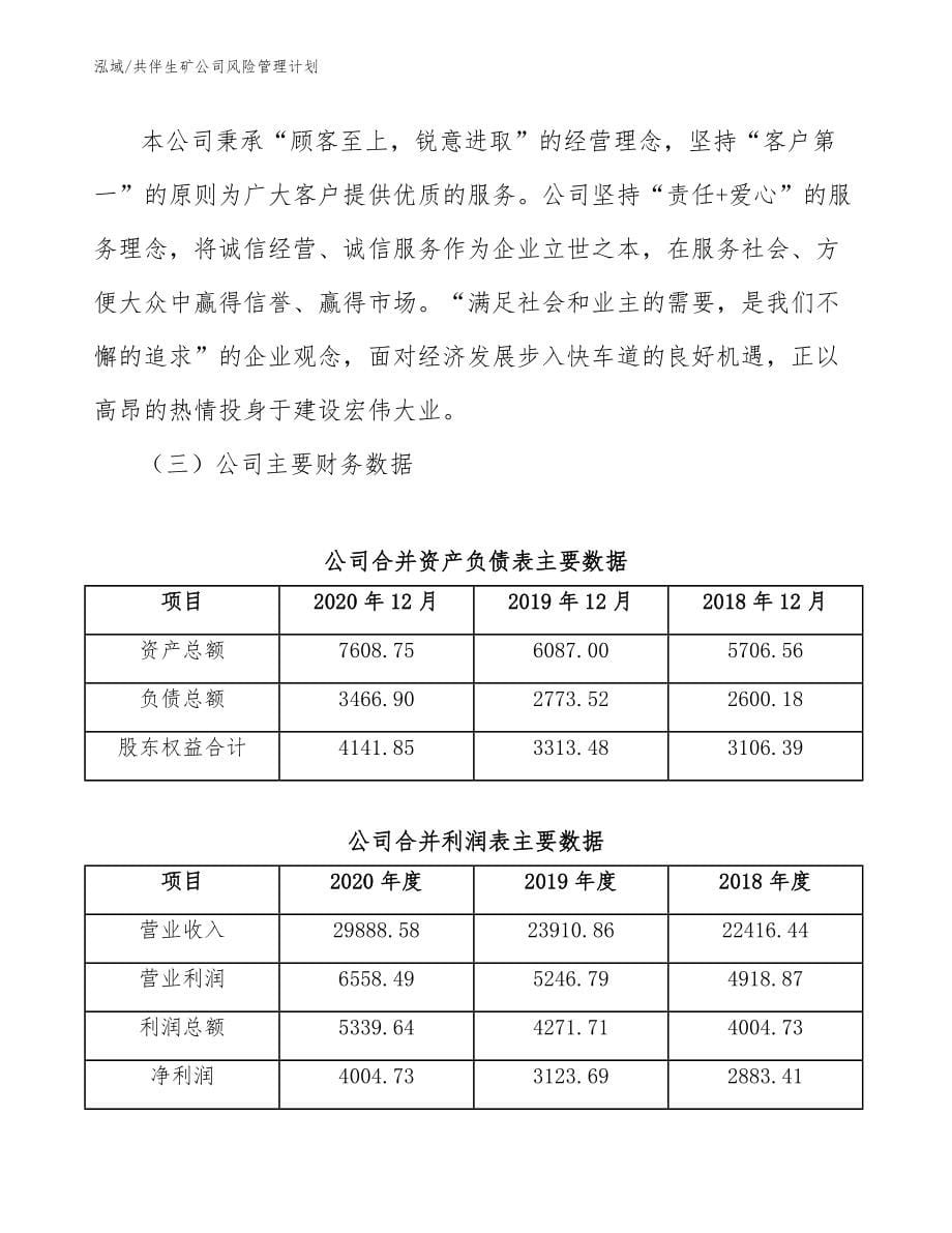 共伴生矿公司风险管理计划【参考】_第5页