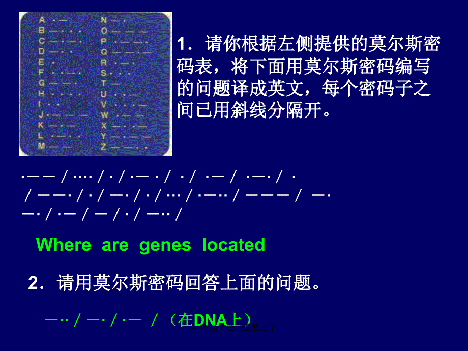 生物高中必修2第三节课件_第3页