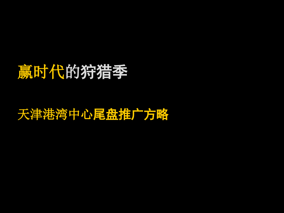 某港湾中心尾盘推广方略_第1页