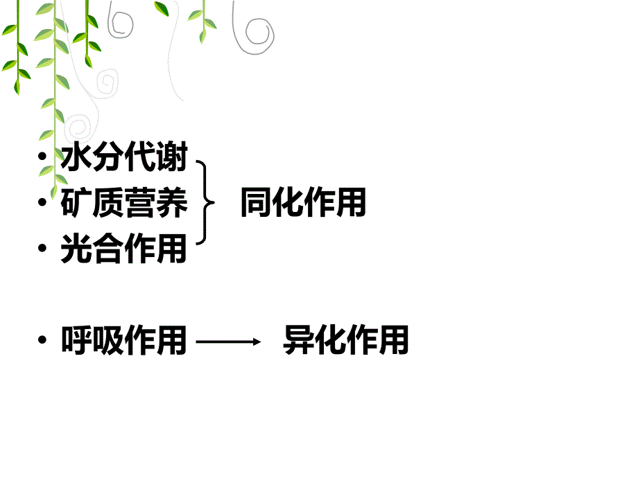 医学专题：植物的呼吸作用2(有氧呼吸和无氧呼吸)概况_第3页