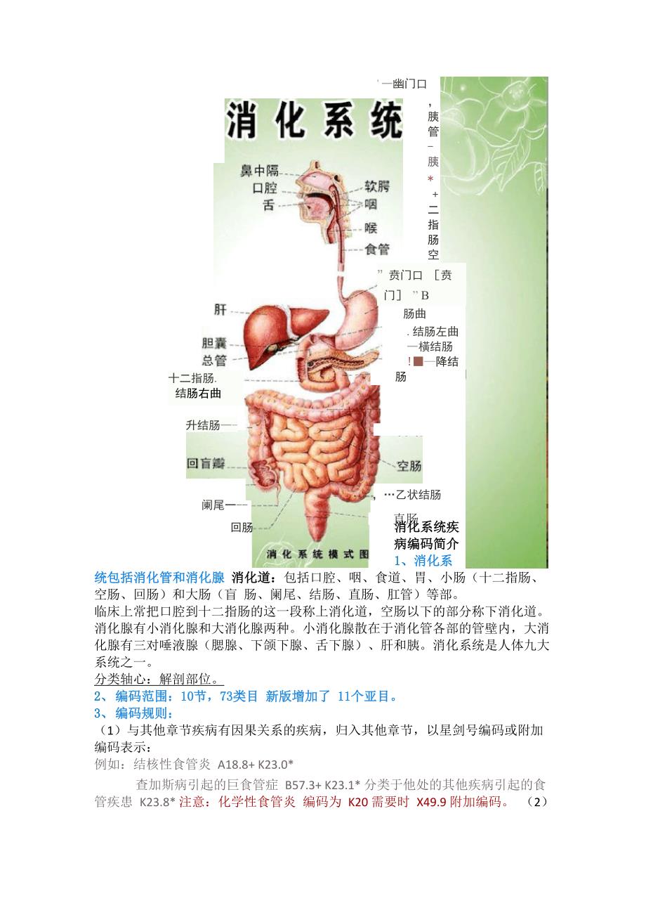 消化系统疾病_第1页