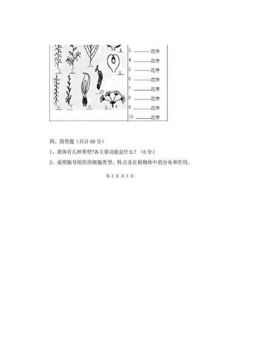 湖南农业大学《616植物学》历年考研真题汇编_第5页