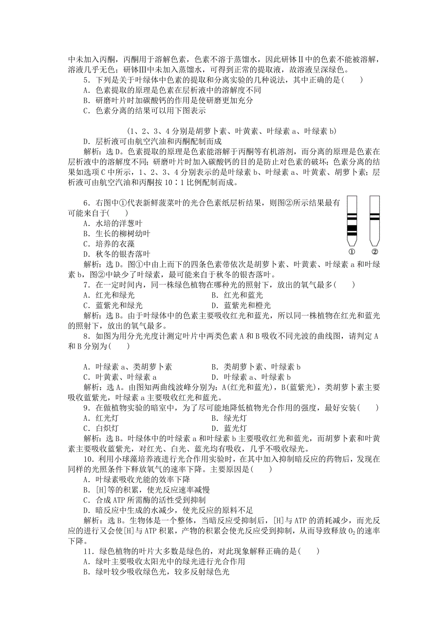 2022-2023学年高中生物第四章光合作用和细胞呼吸第二节光合作用第1讲光合色素与光能的捕获课时作业苏教版必修1_第2页