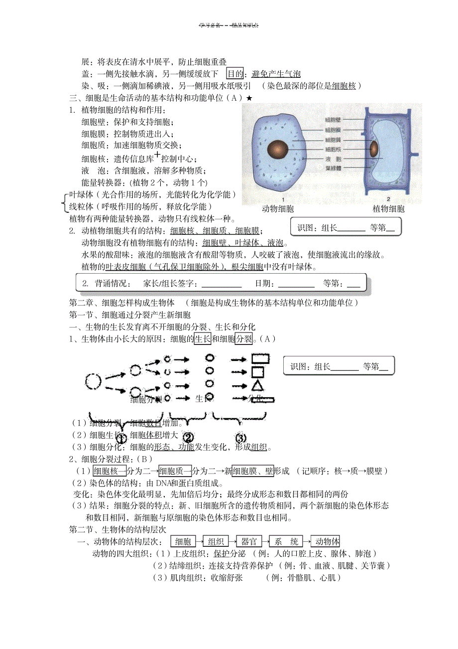 2023年新人教版-初中生物会考知识点总结归纳复习最全面精品资料_第3页