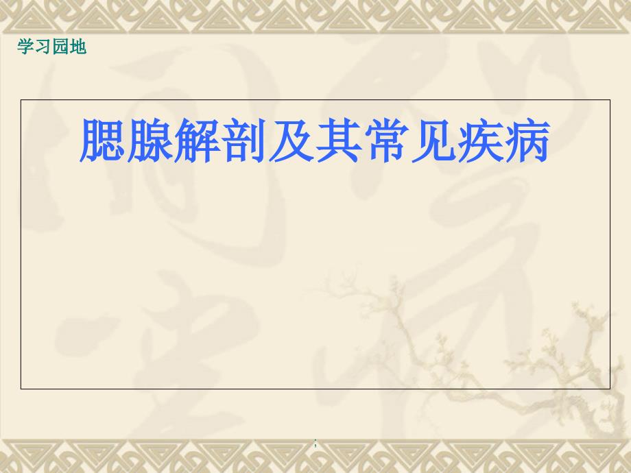 腮腺的解剖及常见疾病ppt课件_第1页