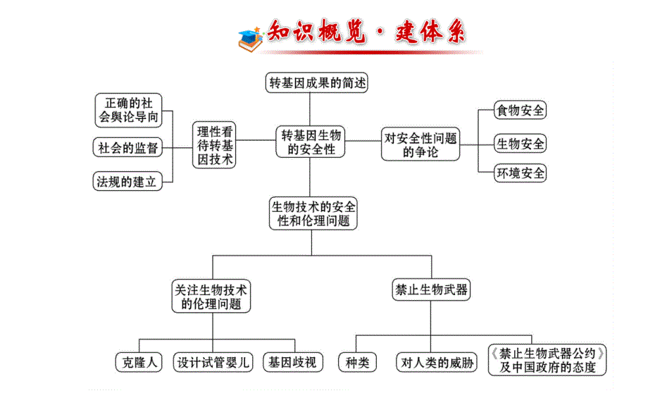 高考生物一轮复习选修3专题4生物技术的安全性和伦理问题课件_第2页
