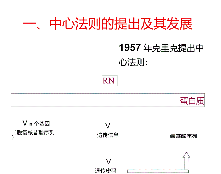 基因对性状的控制比较好_第3页