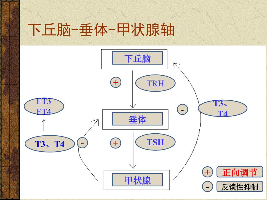 甲状腺炎分类及诊治_第4页