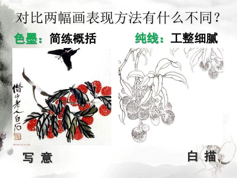 精品五年级上美术课件蔬果白描北京课改版可编辑_第2页