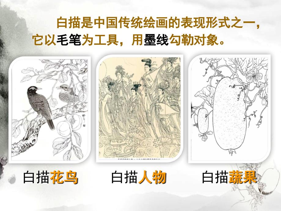 精品五年级上美术课件蔬果白描北京课改版可编辑_第3页